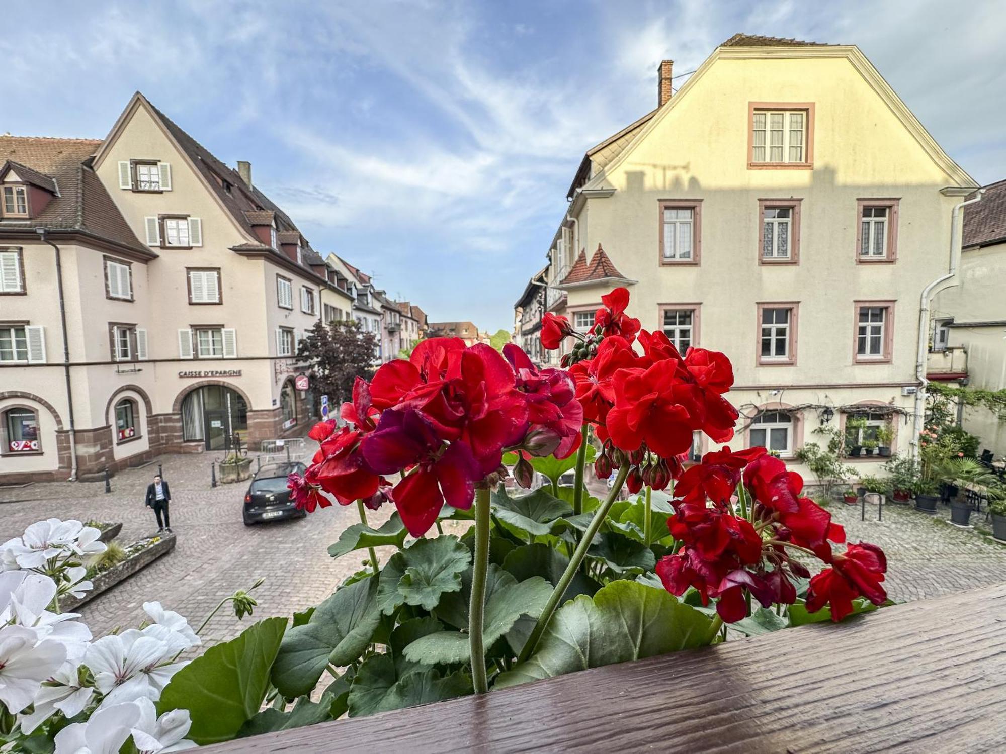 Апартаменти Origin'Alsace Кезерсберг Екстер'єр фото